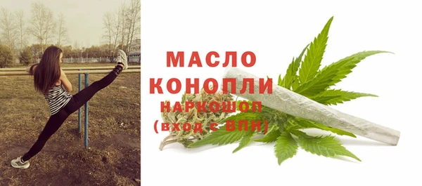 2c-b Горно-Алтайск