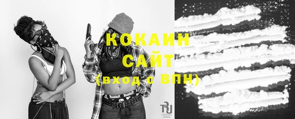 2c-b Горно-Алтайск