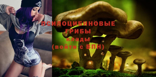 2c-b Горно-Алтайск