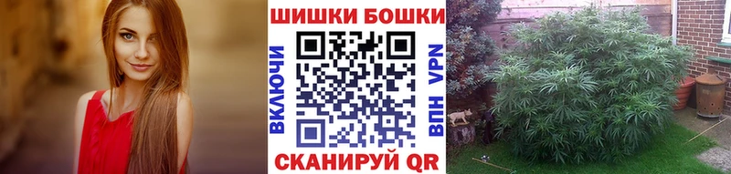 блэк спрут зеркало  Ковров  Конопля SATIVA & INDICA 